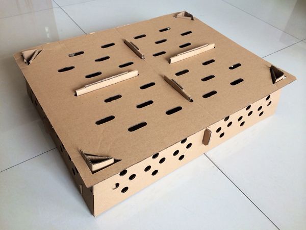 4雞苗紙箱